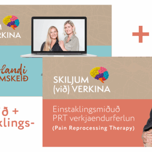 Skiljum (við) verkina: netnámskeið + 4 einkatímar