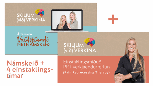 Skiljum (við) verkina: netnámskeið + 4 einkatímar