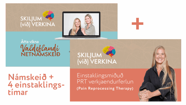 Skiljum (við) verkina: netnámskeið + 4 einkatímar